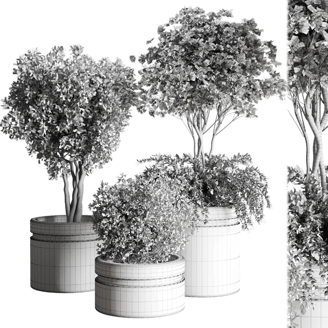 Tree pots and shrubs-bush collection 74 metal vase for outdoor indoor — Descargar