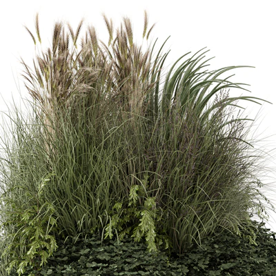 Outdoor Plants Bush -Bush Set 1644 — Вид 5