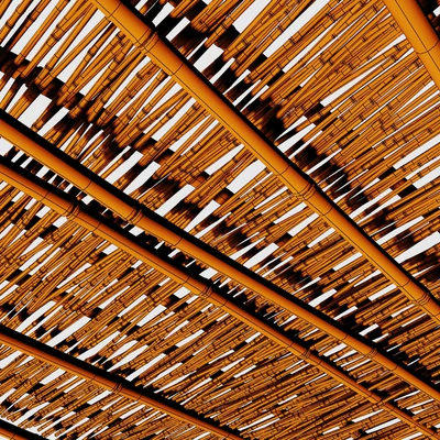 Branch bamboo long low n3 / Long bamboo branches No. 3 — Ver 3