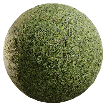 wild grass 081 — Descargar