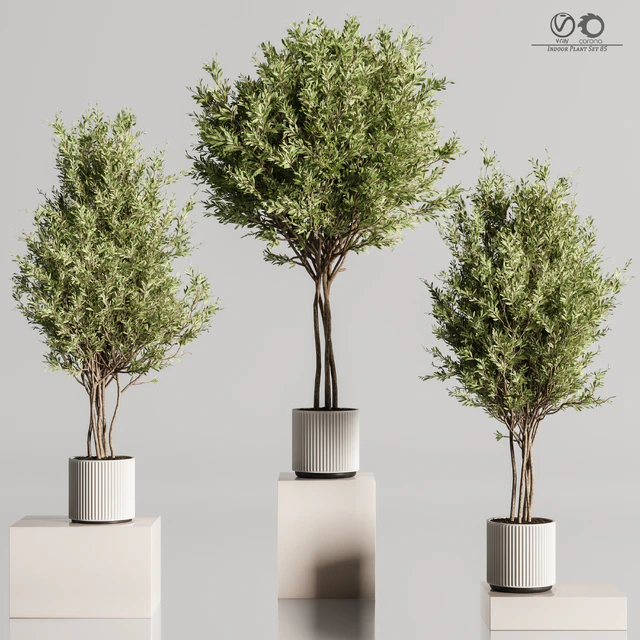 Indoor Plant Set 85 — Descargar
