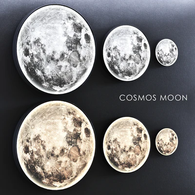 COSMOS MOON — Вид 3