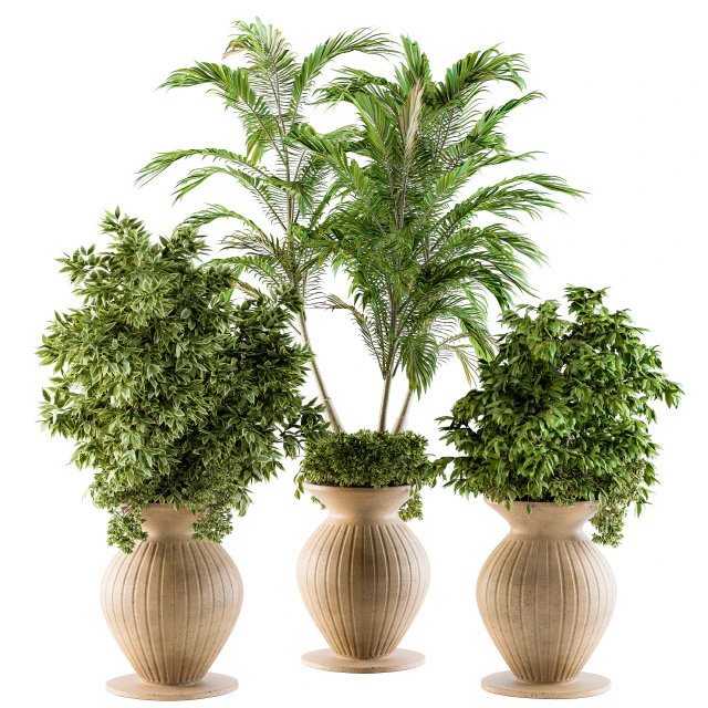 Outdoor Plants - Set 88 — Скачать