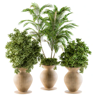 Outdoor Plants - Set 88 — Вид 1