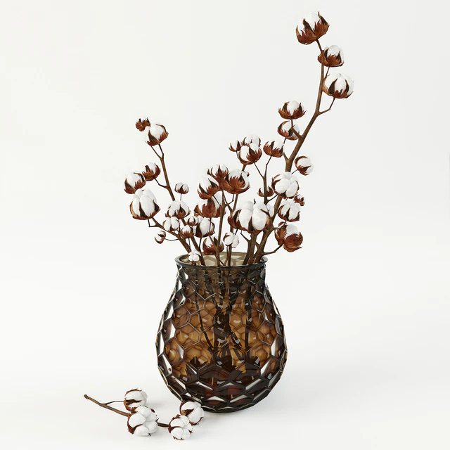 Cotton in a vase — Descargar