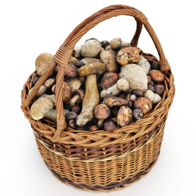 Mushrooms in a basket — Ver 2