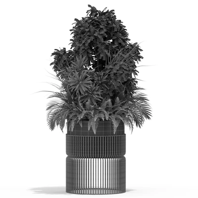 Plants collection 432 — Вид 2