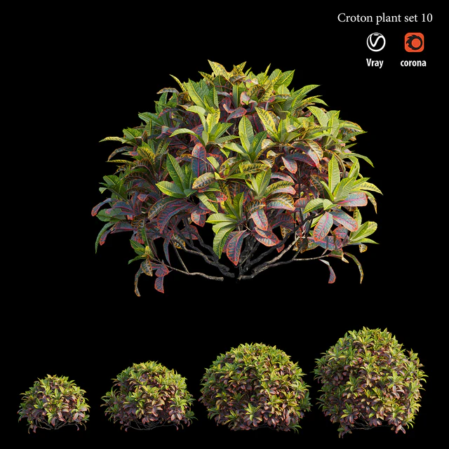 Croton plant set 10 — Descargar