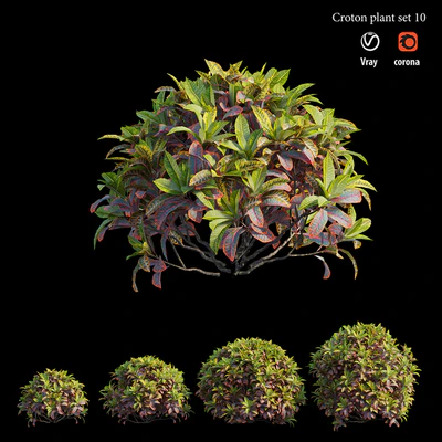 Croton plant set 10 — Ver 2