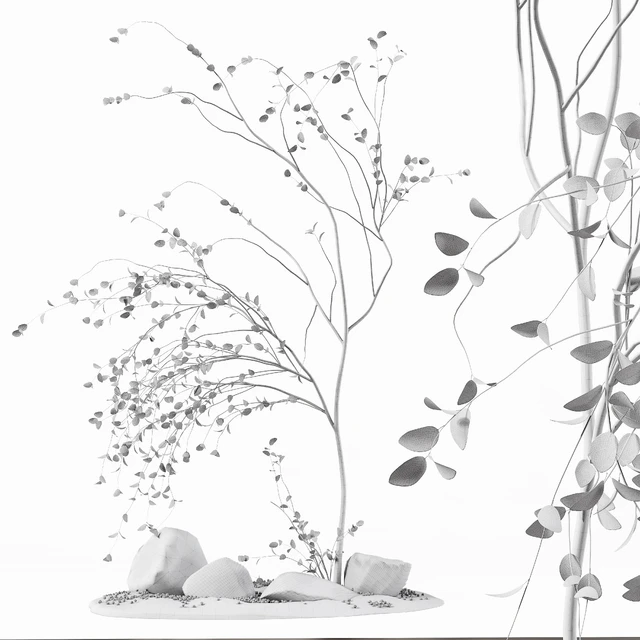 Decoration Indoor Plant — Скачать
