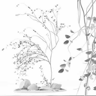 Decoration Indoor Plant — Вид 2