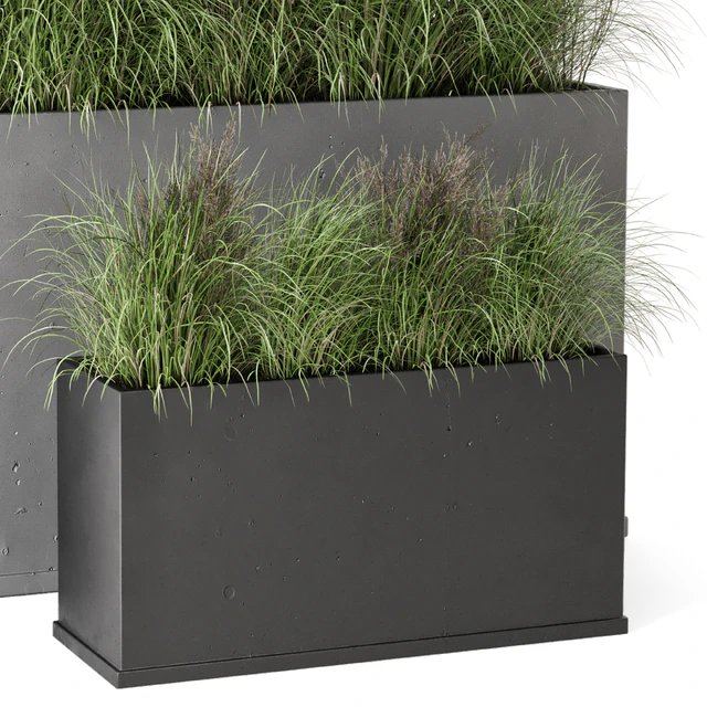 Outdoor Plants Bush in rusty Concrete Pot - Set 565 — Descargar