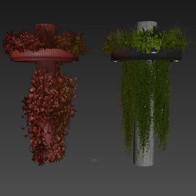Collection plant vol 532 - bush - ampelous - column - fitowall - ivy — Вид 3
