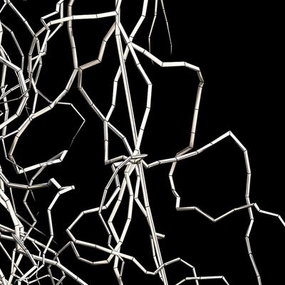 Spanish moss — Вид 2