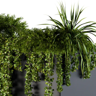 ivy plants in box - Outdoor Set 62 — Ver 2