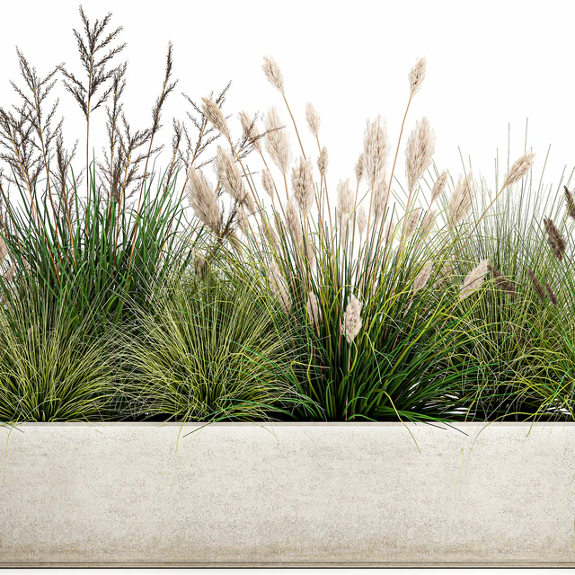 Collection of plants in a pot with pampas grass, reeds, flowerbed, bushes, landscaping. Set 1076. — Descargar