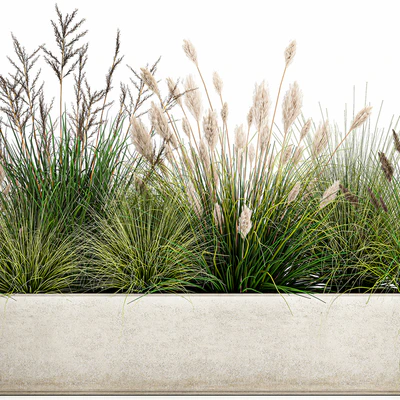 Collection of plants in a pot with pampas grass, reeds, flowerbed, bushes, landscaping. Set 1076. — Ver 2