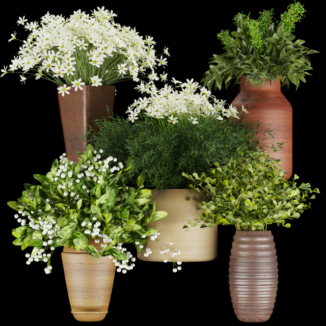 Collection plant vol 262 — Скачать