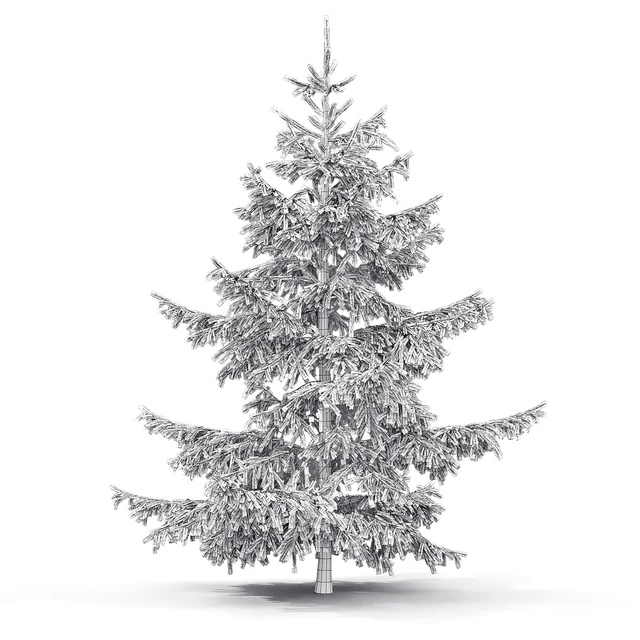 Spruce — Descargar