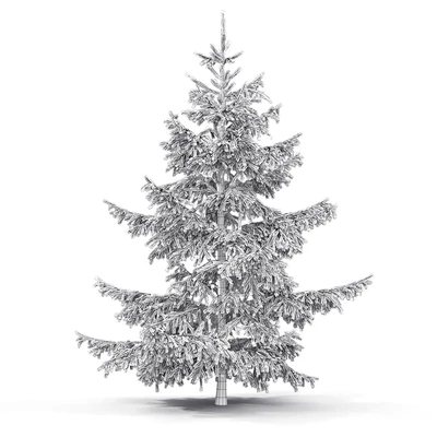 Spruce — Ver 2