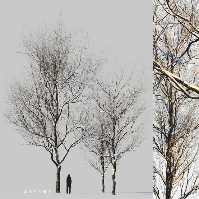 snow-covered trees — Descargar