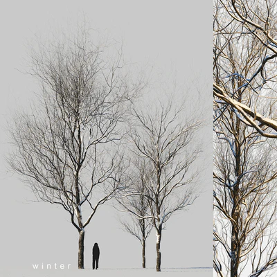 snow-covered trees — Ver 1
