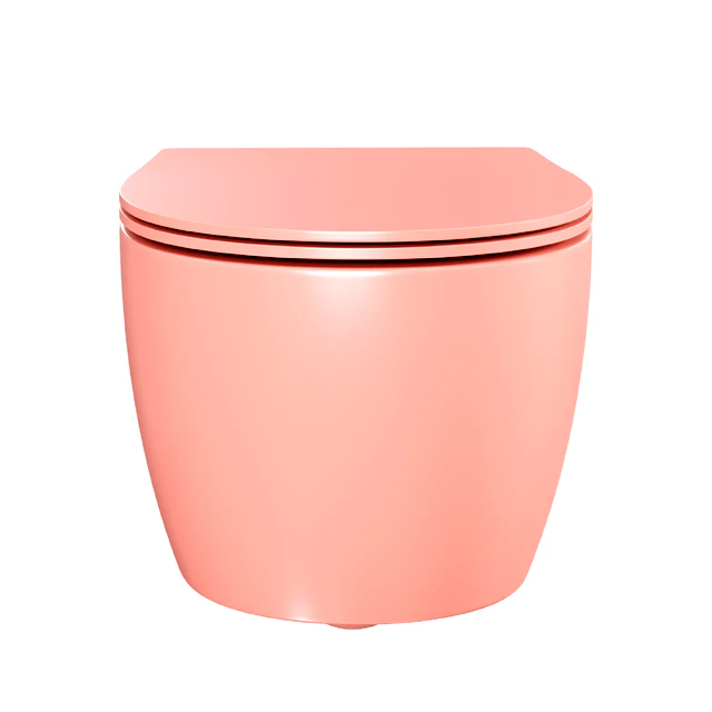 Wall hung toilet Allen Brau Fantasy — Download