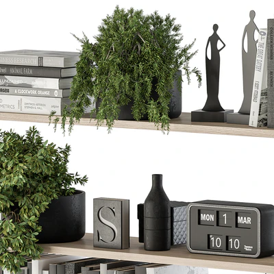 Decorative Set on Shelves and Decor objects - Set 11 — Ver 3