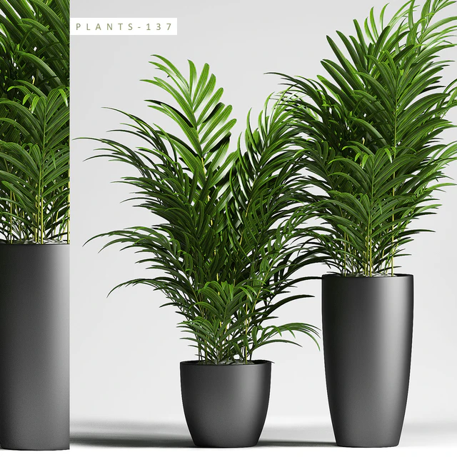 PLANTS 137 — Скачать