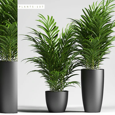 PLANTS 137 — Скачать