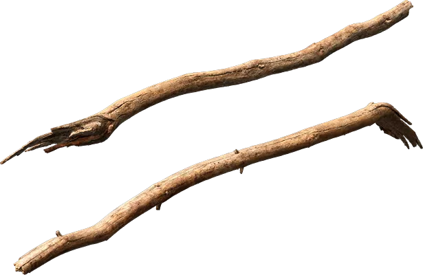 dead tree branch 003 — Скачать