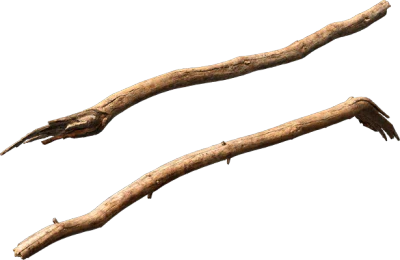 dead tree branch 003 — Скачать