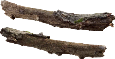 birch log 001 — Descargar