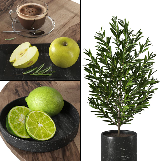 Fruit and drink decor set 01 — Descargar