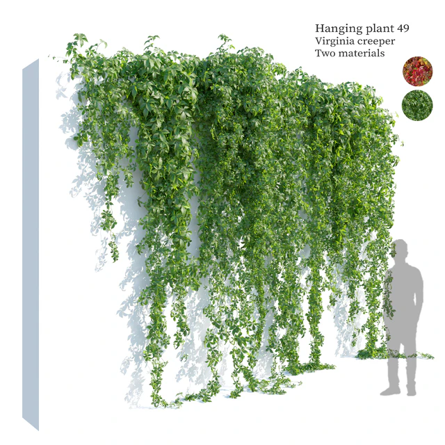 Hanging plant 49 — Download