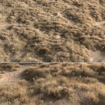 Dried grass — Вид 2