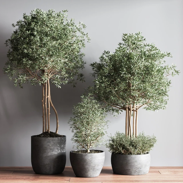 Indoor Plant Set12 — Скачать