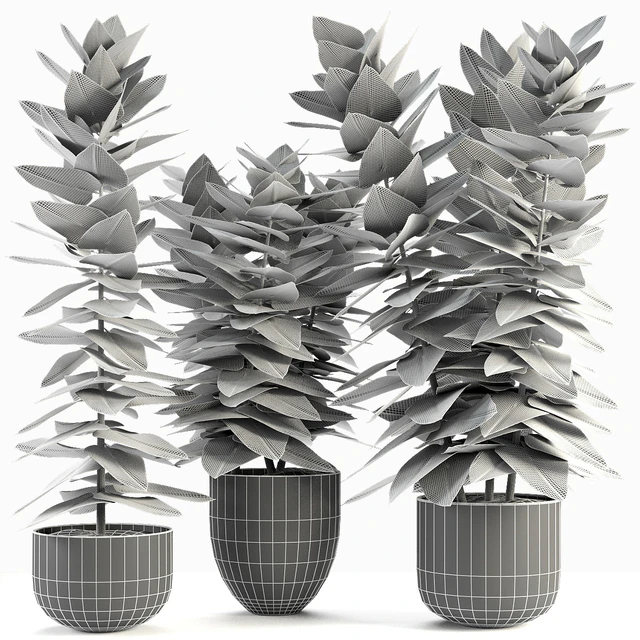 Collections Plants 05 — Скачать