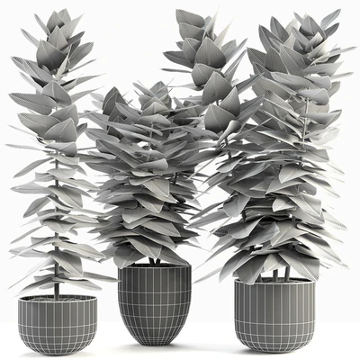 Collections Plants 05 — Вид 2