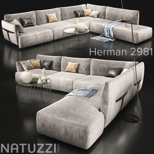 Sofa natuzzi herman 2981 — Descargar
