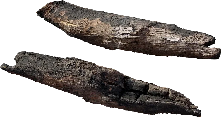 burnt tree log 001 — Descargar