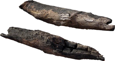 burnt tree log 001 — Descargar