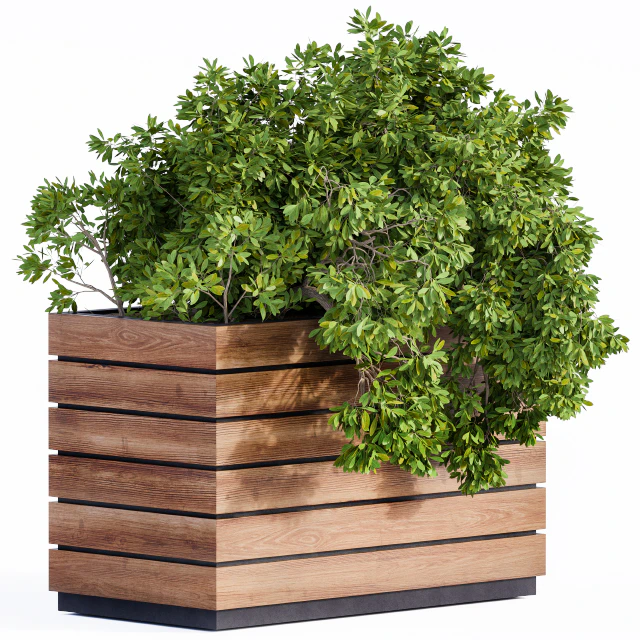 Plant Box Green & Wood — Скачать
