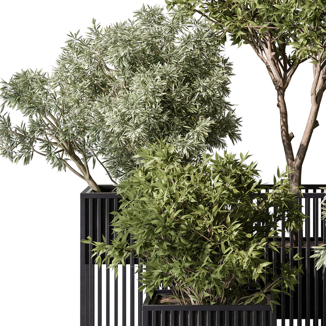 indoor Plant Set 380- Tree and Plant Set in pot — Descargar