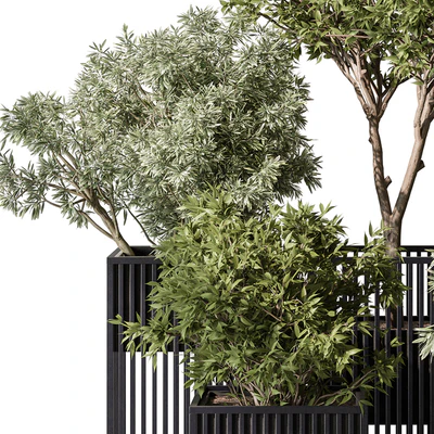 indoor Plant Set 380- Tree and Plant Set in pot — Ver 2
