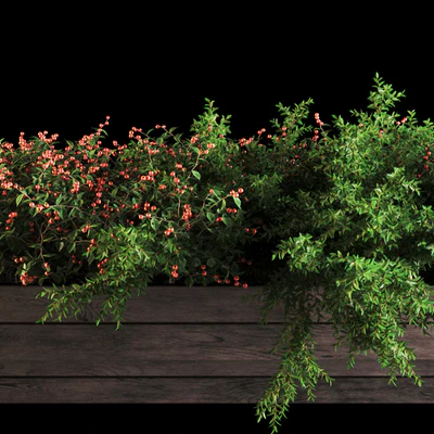 plant1101 — Ver 2