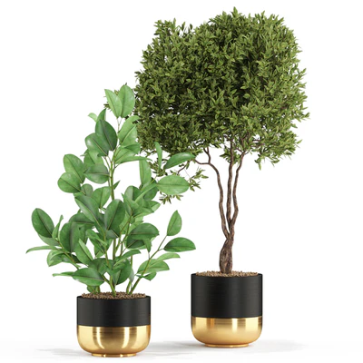 Plants collection 540 — Ver 2