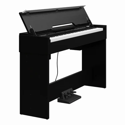Thomann DP-33 B — Ver 1