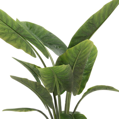 indoor plant set 36 — Ver 4