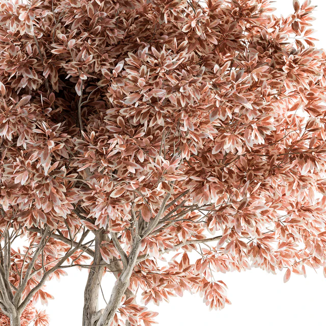 Outdoor Plant Set 359 - Pink Plant Set in Concrete Pot — Descargar